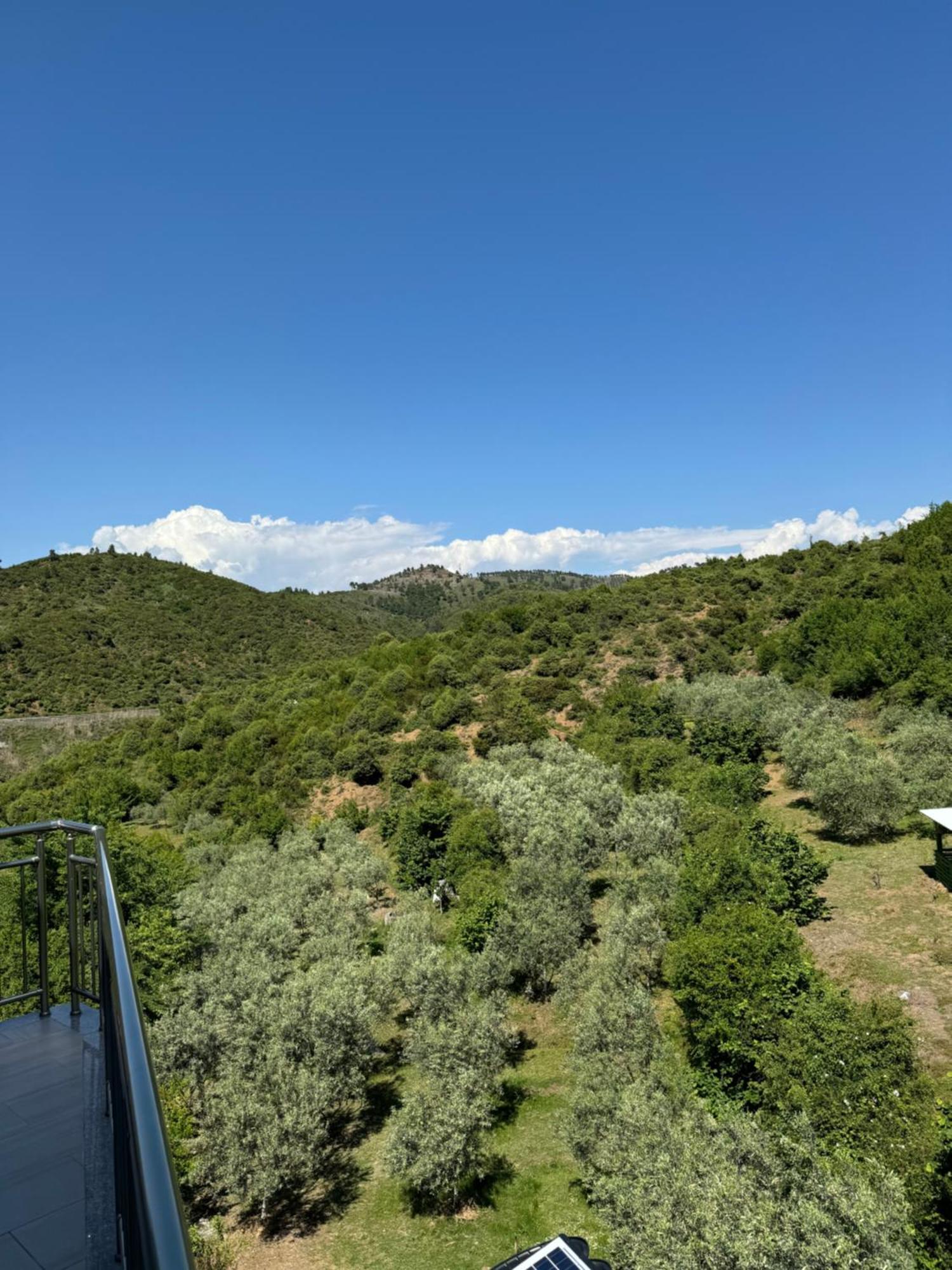 Qyteza Guest House & Camping Shkodër Dış mekan fotoğraf